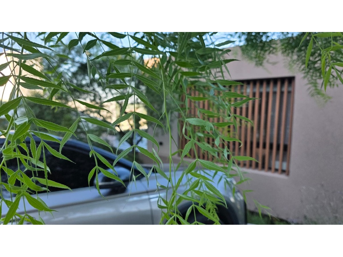 CASA TERRAZAS DE LA ESTANZUELA | SEGURIDAD | PILETA