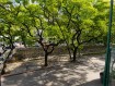 DEPTO 1 DORMITORIO 9 DE JULIO Y CAÑADA EN VENTA