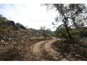 VENTA CAMPO - ICHO CRUZ - 200 Ha.
